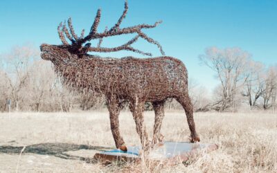 Art Sculptures Featured Around the Park